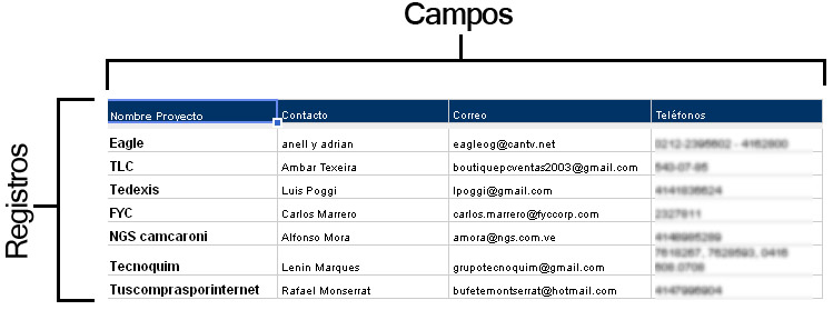 campos y registros en una base de datos